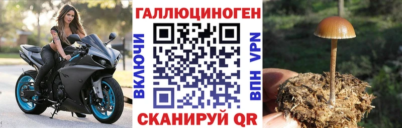 Галлюциногенные грибы GOLDEN TEACHER  дарнет шоп  Покров 